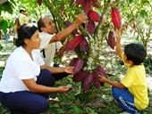 Minagricultura anunció $19.500 millones en Incentivos de Capitalización Rural para la Orinoquia