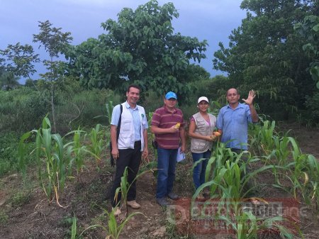 DNP verificó avances de proyectos productivos en Casanare