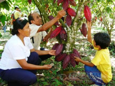 Minagricultura anunció $19.500 millones en Incentivos de Capitalización Rural para la Orinoquia