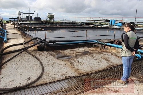 12 empresas dedicadas al tratamiento de residuos peligrosos funcionan en Casanare