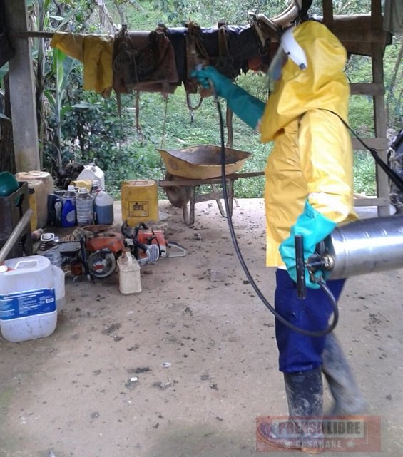 Fumigación contra el vector de la enfermedad de Chagas en varias veredas de Yopal