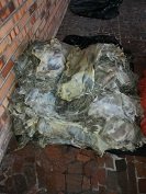 Decomisados 230 kilos de carne de chigüiro en Arauca por tráfico ilegal