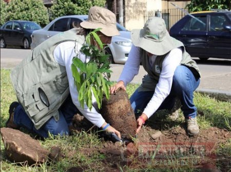 Corporinoquia capacitará a 60 veedores ambientales de Casanare, Arauca, Vichada y Cundinamarca