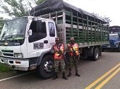 102 semovientes recuperados en operaciones militares en Arauca