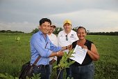 Alcaldía de Aguazul plantó 16 hectáreas de cultivos frutales 