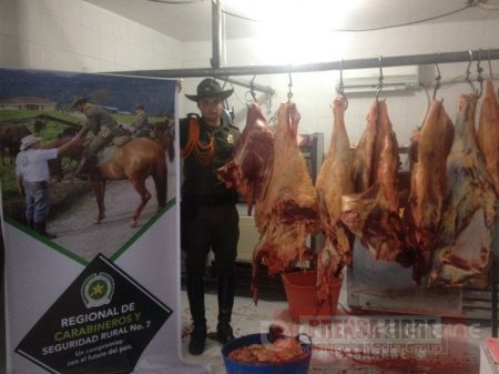 Escuadrón de carabineros en Aguazul entregó positivos resultados contra la comercialización ilegal de carne 