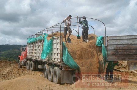 Nueva modalidad de robo de arroz atemoriza al gremio de Casanare