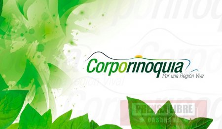 33 hojas de vida aspiran a nuevo director de Corporinoquia