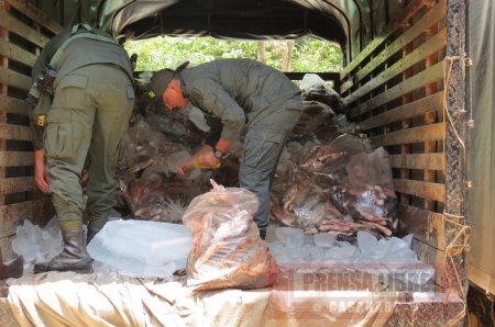 Incautado  millonario cargamento de pescado procedente de Venezuela
