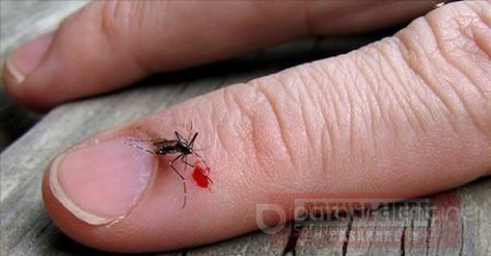 Bajan estadísticas de casos de Chikungunya en Casanare