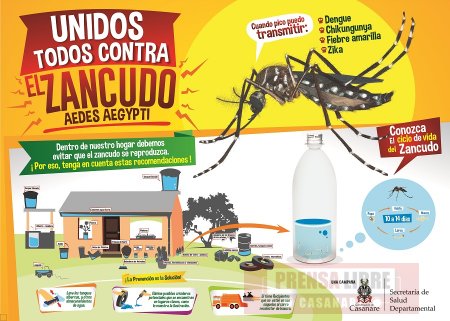 El Instituto Nacional de Salud confirmó 3 casos de Zika en Casanare