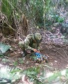 Ejército neutralizó en Arauca  más de 50 artefactos explosivos en las dos últimas semanas