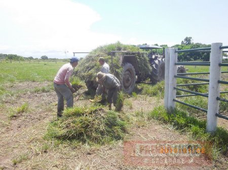 98 ganaderos de Casanare implementan Bancos de Semilla