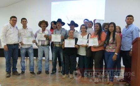 ICA certifico predios en Casanare en buenas prácticas ganaderas y libres de brucelosis y tuberculosis 