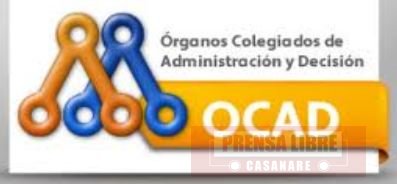 Se prepara elección de representantes  de los municipios en los OCAD