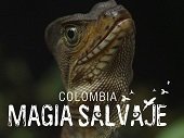 Corporinoquia celebra hoy Día Mundial de la Educación Ambiental con proyección de &#8220;Colombia Magia Salvaje&#8221;