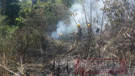 Alrededor de 240 hectáreas consumidas por incendio en el cerro El Venado