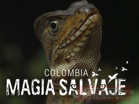 Corporinoquia celebra hoy Día Mundial de la Educación Ambiental con proyección de &#8220;Colombia Magia Salvaje&#8221;