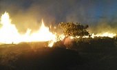 Más de 1.200 hectáreas fueron consumidas por el fuego en Tilodirán