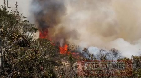 Más de 1.200 hectáreas fueron consumidas por el fuego en Tilodirán