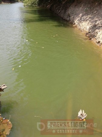 Inquietud en San Luis de Palenque por gran mancha verde en el río Guanapalo