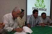 Gerente General Fedearroz se reúne hoy con productores arroceros de Casanare 