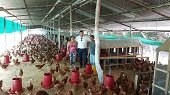 2000 gallinas fueron entregadas a víctimas de la violencia en Aguazul 