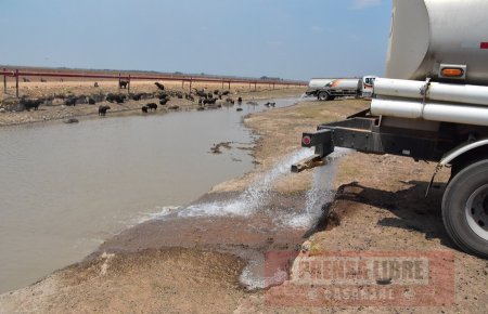Gobernación asegura que distribución de 930.000 galones de agua mantienen con vida a los chigüiros en Paz de Ariporo