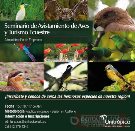 Seminario sobre avistamiento de aves en Unitrópico