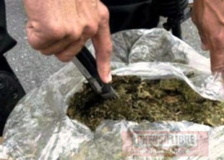 Desarticulada banda de microtráfico en Casanare, les incautaron 503 libras de marihuana