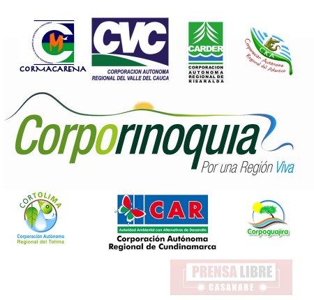 Corporaciones Autónomas Regionales no cumplen con eficiencia labores de control ambiental según Contraloría