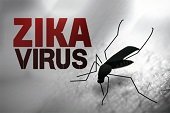 245 nuevos casos de Zika se registraron la última semana epidemiológica en Casanare