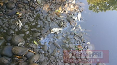 Denuncian que Subasta Ganadera de Casanare estaría contaminando canal de río Cravo Sur