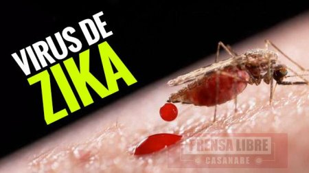 Casanare se acerca a los 3 mil casos de Zika 