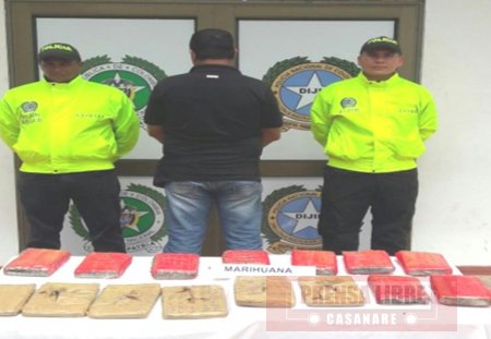 Incautados diez kilos de marihuana y una persona capturada en Paz de Ariporo