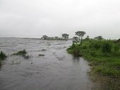 Decenas de predios afectados por inundaciones del Rio Casanare en Hato Corozal