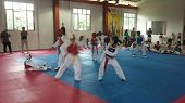 Yopal fue sede de encuentro departamental de escuelas de Taekwondo 