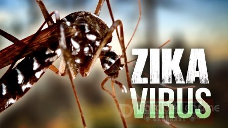 Sigue en ascenso el virus del Zika en Casanare