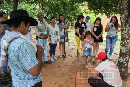 Ganaderos de Casanare participan en proyecto silvopastoril de Corporinoquia