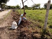 Recuperan con siembra de árboles paraje abandonado en Trinidad