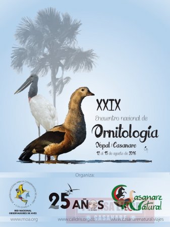Desde hoy en Casanare Encuentro Nacional de Ornitología
