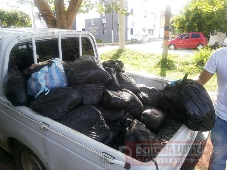 Corporinoquia incautó 932 kilogramos de carne de chigüiro en Támara 