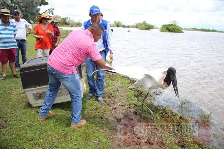 Fauna silvestre recuperó su libertad en Hato Venecia en San Luís de Palenque
