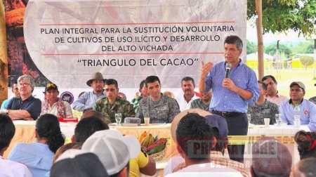 En Vichada inició primer acuerdo colectivo para sustitución voluntaria de cultivos ilícitos