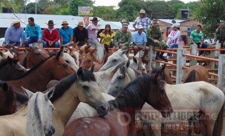 Comunidades de Caño Chiquito donaron 42 caballos al Ejército 