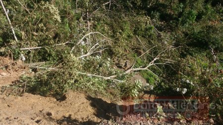 Dos acueductos afectados por deslizamiento de tierra en zona rural de Aguazul