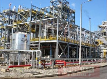 Planta de etanol Bioenergy inicia producción en el Meta