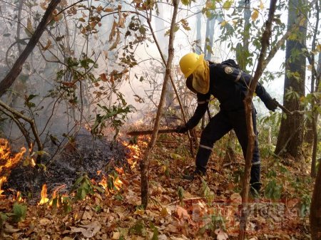 Alerta Roja en Paz de Ariporo y Hato Corozal por amenaza de ocurrencia de incendios forestales