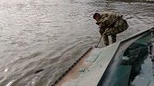Frente común contra pescadores ilegales que atacan delfines rosados en Casanare