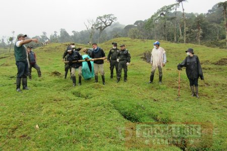 Parques Naturales y Corporaciones Autónomas repudiaron asesinato de oso andino